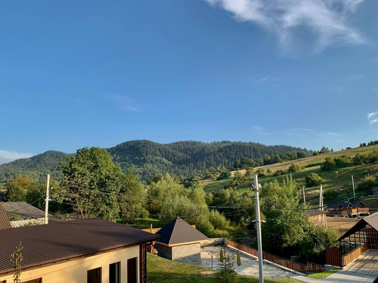 - у карпатах Holiday home Bilychi